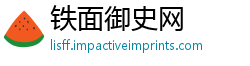 铁面御史网